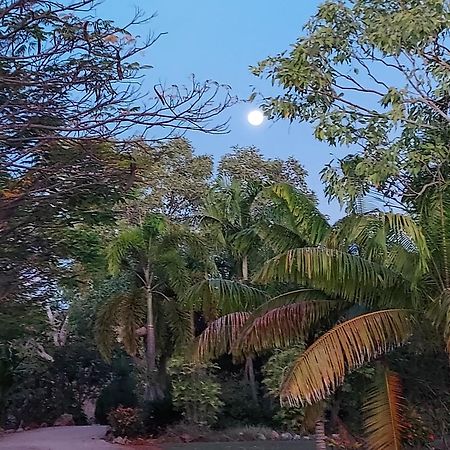 Almost Off Grid Tranquillity Кэтрин Экстерьер фото